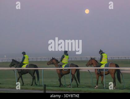 Alba sul Jockey Club Lambourn Training Grounds, Regno Unito Foto Stock