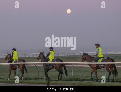 Alba sul Jockey Club Lambourn Training Grounds, Regno Unito Foto Stock