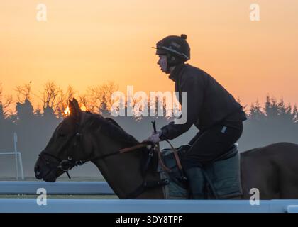 Alba sul Jockey Club Lambourn Training Grounds, Regno Unito Foto Stock