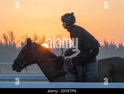 Alba sul Jockey Club Lambourn Training Grounds, Regno Unito Foto Stock