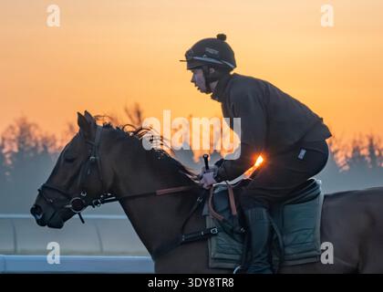 Alba sul Jockey Club Lambourn Training Grounds, Regno Unito Foto Stock