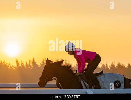 Alba sul Jockey Club Lambourn Training Grounds, Regno Unito Foto Stock