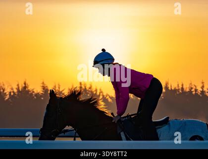 Alba sul Jockey Club Lambourn Training Grounds, Regno Unito Foto Stock