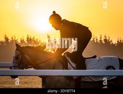 Alba sul Jockey Club Lambourn Training Grounds, Regno Unito Foto Stock