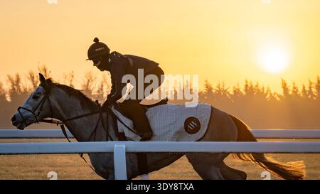 Alba sul Jockey Club Lambourn Training Grounds, Regno Unito Foto Stock