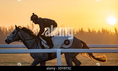 Alba sul Jockey Club Lambourn Training Grounds, Regno Unito Foto Stock