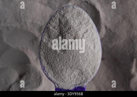 Shot macro di un misurino blu riempito con polvere proteica di siero di latte di alta qualità che mostra una texture dettagliata Foto Stock