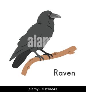 Corvo comune appollaiato sull'illustrazione vettoriale del ramo dell'albero, personaggio della clipart del cartone animato, animale in stile piatto. Animali selvatici, aviari, uccelli Illustrazione Vettoriale