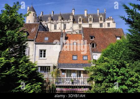 Loches: Castello, città reale, vecchie case in pietra e barca a Indre dai giardini pubblici, Loches, Indre et Loire, Francia Foto Stock