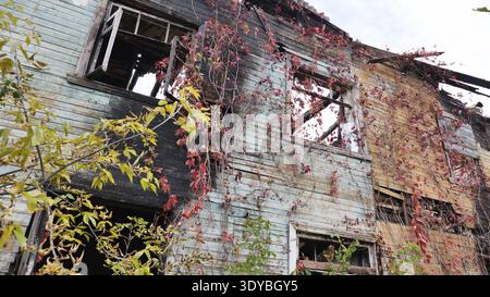 Casa di legno abbandonata dopo il fuoco, la natura che recupera le rovine carbonizzate, il decadimento autunnale Foto Stock