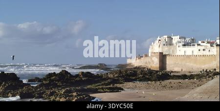 Vista del paesaggio costiero con le mura della città di Essaouira, le onde e una piccola spiaggia di sabbia con grandi rocce sotto il cielo blu con un gabbiano (larinae), Essaouir Foto Stock