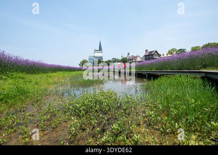 Una vista dall'angolo basso che cattura un prato fiorito in primo piano con edifici in stile europeo visibili in lontananza attraverso una fontana. Foto Stock
