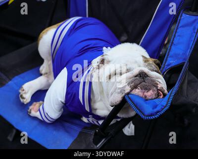 6 marzo 2026: La mascotte dal vivo di Drake Griff II si rilassa sulla sua sedia durante la partita del secondo turno del torneo di basket maschile MVC tra i Drake Bulldogs e Belmont Bruins all'Enterprise Center di St. Louis, Missouri. Stephen Furst/CSM Foto Stock