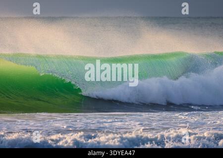 Perfetta onda da surf con la luce del sole del tramonto Foto Stock