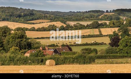 Scena rurale nei pressi di Henley-on-Thames che mostra campi coltivati, una fattoria e mucche pascolano nei pascoli Foto Stock