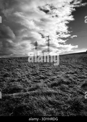 Due alte strutture di linee elettriche si trovano in un campo erboso sotto un cielo drammatico e nuvoloso. La tavolozza monocromatica crea un effetto cupo. Auvergne. Francia Foto Stock