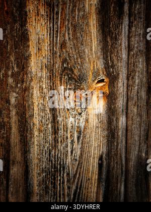 Superficie in legno intemprata che mostra la sua grana intricata e un nodo prominente. La struttura in legno naturale appare in sfumature di marrone Foto Stock