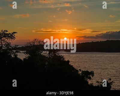 Il cielo arancione del tramonto si affaccia su una tranquilla baia oceanica con sagome scure di alberi Foto Stock