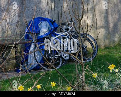 Due biciclette sono coperte da una tela cerata blu, appoggiata contro un muro. Le biciclette sono parcheggiate e coperte per la protezione dagli elementi atmosferici, possibilmente per Foto Stock