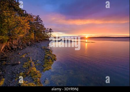 Tramonto dorato sulle calme acque costiere e sulla costa rocciosa Foto Stock