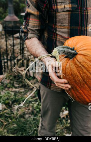 Primo piano di un uomo che trasporta una grande zucca intagliata appena raccolta Foto Stock