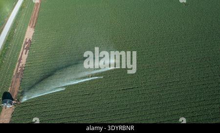 L'irrigatore irriga vasti campi di soia in estate Foto Stock