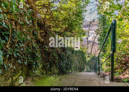 Val de Briey, Meurthe et Moselle, città, lago, passeggiate, attività sportive e di relax, Lorena, Francia Foto Stock