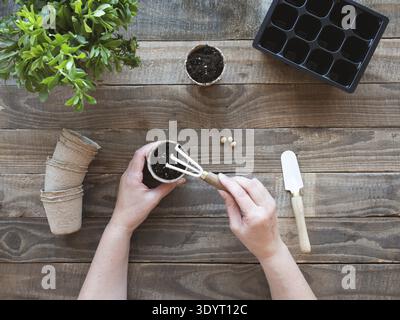 Mani piantando i semi in una pentola di torba con attrezzi da giardinaggio su un tavolo di legno Foto Stock