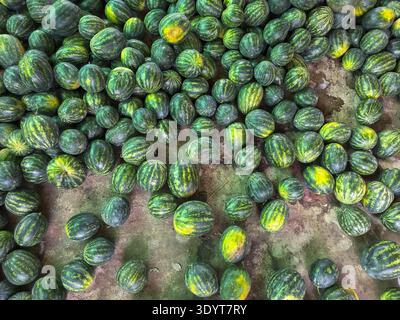 Abbondante pila di piccolo anguria verde fresca del raccolto. vista dall'alto del cumulo naturale di frutta biologica sana al mercato agricolo. Sfondo vibrante Foto Stock