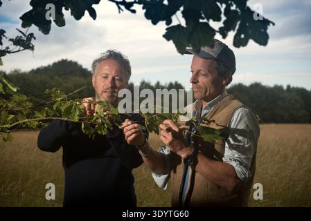 Lord Somerleyton, Hugh Crossley (cap) e Argus Hardy nella Somerleyton Estate, Suffolk. La tenuta ha impegnato 1.000 acri per un progetto pionieristico di riqualificazione, principalmente incentrato sulla riserva naturale del lago Fritton. Come fondatore del movimento WildEast, Lord Somerleyton sostiene di restituire il 20% della terra alla natura per combattere la perdita di biodiversità. Il progetto utilizza il "patrimonio naturale", tra cui il bestiame delle Highland, i pony Exmoor, i bufali d'acqua e i maiali neri liberi di muoversi, per agire come ingegneri dell'ecosistema naturale. Questi animali riproducono antichi schemi di pascolo per ripristinare un mosaico di brughiera, boschi, Foto Stock