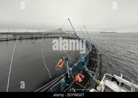 Grande allevamento ittico in acqua con reti sotto il cielo nuvoloso come angolo di sfondo Foto Stock