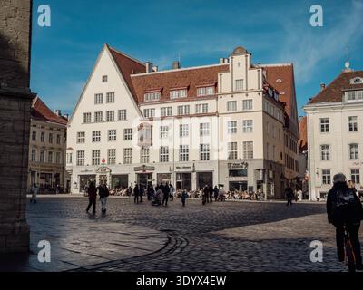 Una vivace vista diurna dello storico Raekoja Plats (Piazza del Municipio) nella città vecchia di Tallinn, in Estonia, caratterizzata da un'architettura medievale ben conservata e di Hanseat Foto Stock