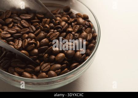 Primo piano della ciotola con chicchi di caffè tostati su sfondo bianco Foto Stock