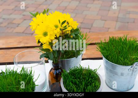 Bouquet di crisantemi gialli in bottiglia di vetro e erba verde fresca decorativa in secchi di metallo su tavoli di legno all'aperto Foto Stock