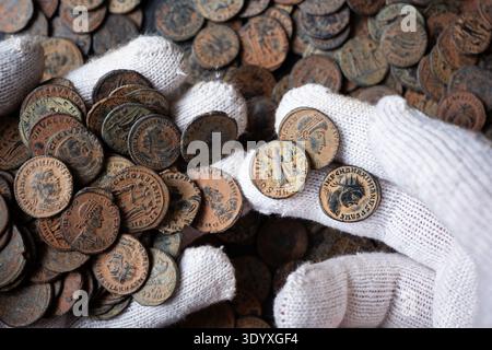 Una fotografia ravvicinata mostra le mani che indossano guanti di cotone bianchi tenendo con cura ed esaminando una grande collezione di antiche monete romane in bronzo. Il co Foto Stock