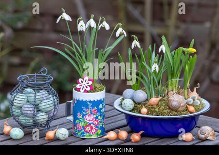 sistemazione in giardino con gocce di neve e fiori primaverili in vasi d'epoca e uova di quaglia Foto Stock