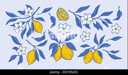 Rami di limone amalfitano collezione di frutti gialli con fiori in fiore, illustrazione di agrumi estivi con foglie blu, foliera botanica disegnata a mano Illustrazione Vettoriale