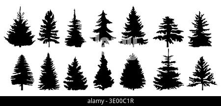 Set di dodici silhouette nere sempreverdi Illustrazione Vettoriale