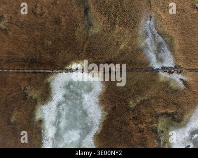 Vista aerea dall'alto verso il basso di una passerella di legno che attraversa una palude ghiacciata con canne marroni e macchie di ghiaccio, concetto di conservazione delle zone umide invernali Foto Stock
