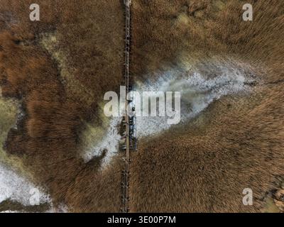 Vista aerea dall'alto verso il basso di una passerella di legno che attraversa una palude ghiacciata con canne marroni e macchie di ghiaccio, concetto di conservazione delle zone umide invernali Foto Stock