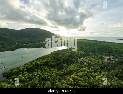 Vista aerea della luce del sole che penetra attraverso le nuvole sopra la foresta di mangrovie, gettando ombre sulla lussureggiante vegetazione che incontra le acque turchesi, Karimunja Foto Stock