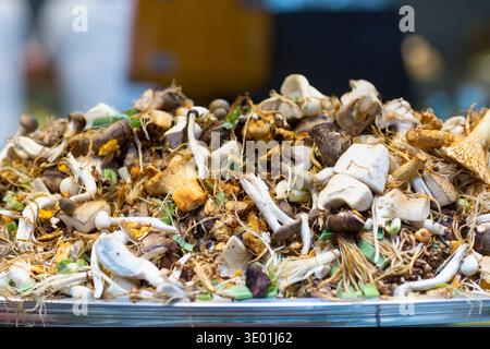 Spagna, Barcellona, una selezione di funghi selvatici al mercato la Boqueria. Foto Stock