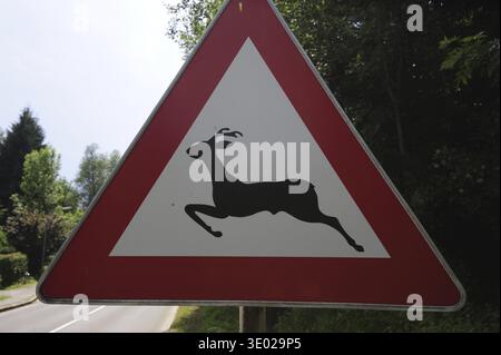 Attenzione ai cervi che attraversano il traffico o la segnaletica stradale, triangolo rosso come avviso di avvertenza Foto Stock