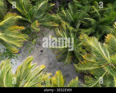 Vista aerea di una figura nascosta in piedi su sabbia bianca, circondata da una vibrante varietà di palme, Maldive e Maldive. Foto Stock