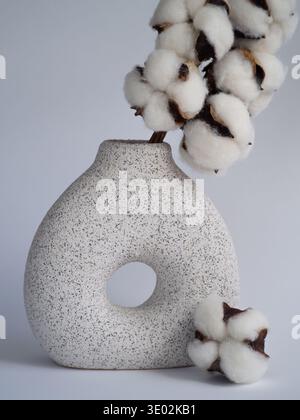 Vaso in ceramica dal design minimalista con ramo di piante di cotone su sfondo neutro Foto Stock