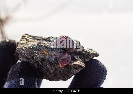 Brillante granato rosso di almandine scintillante in scisto di mica, tenuto con i guanti a mano contro la natura frizzante e nevosa. Deposito Kitelskoe, Kitelya, Carelia, Ru Foto Stock