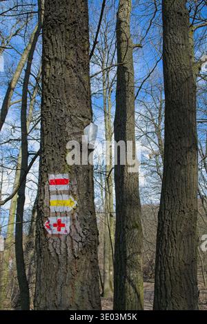 Dettaglio ravvicinato della corteccia degli alberi con vecchio cartello in metallo sovrastato e quadro rosso dipinto, freccia gialla e simboli a croce rossa Foto Stock