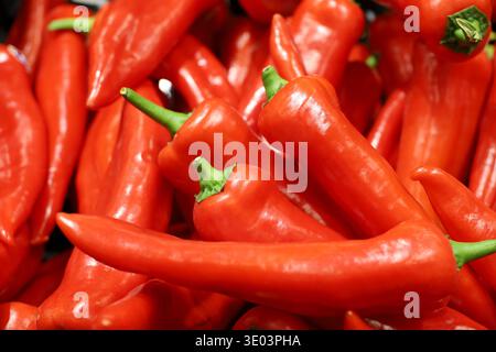 Primo piano al pepe di Ramiro. Peperoni rossi dolci su un mercato, paprika, fondo vegetale Foto Stock
