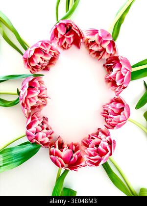 Fiori di tulipani rosa disposti in cerchio su sfondo bianco con spazio di copia. Cornice floreale a molla, composizione piatta, luce naturale. Foto Stock