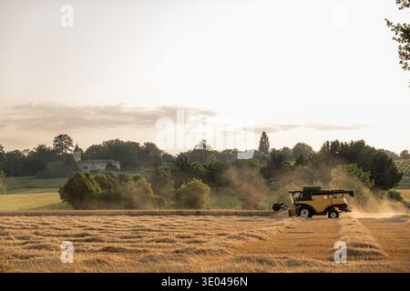 Una mietitrice lavora in modo efficiente in un vasto campo di grano dorato durante il tramonto. La polvere si alza sullo sfondo, creando una scena calda e rustica con alberi e. Foto Stock